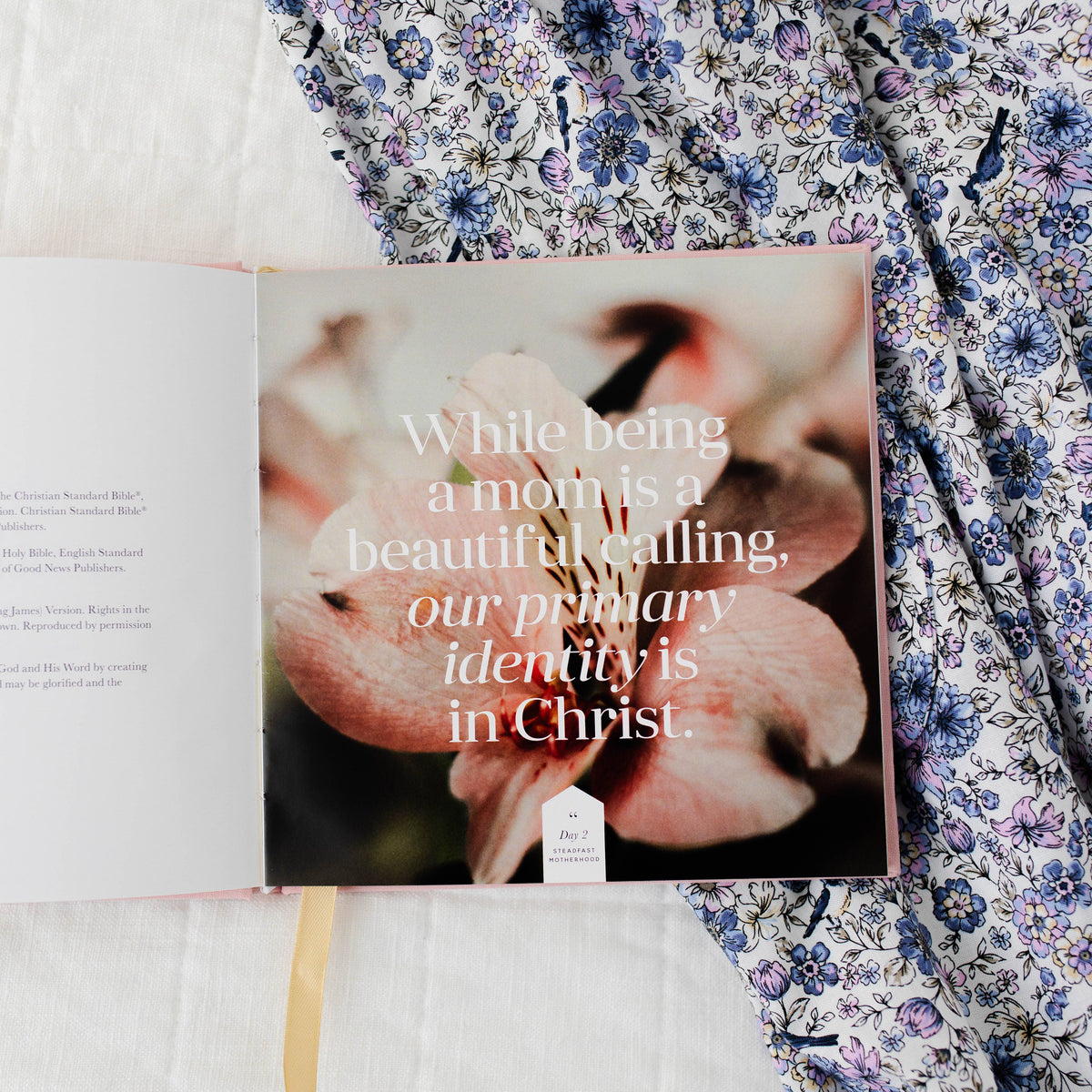 Steadfast Motherhood | Devotional