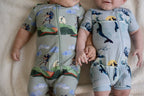 Jonah Shortie Zippy