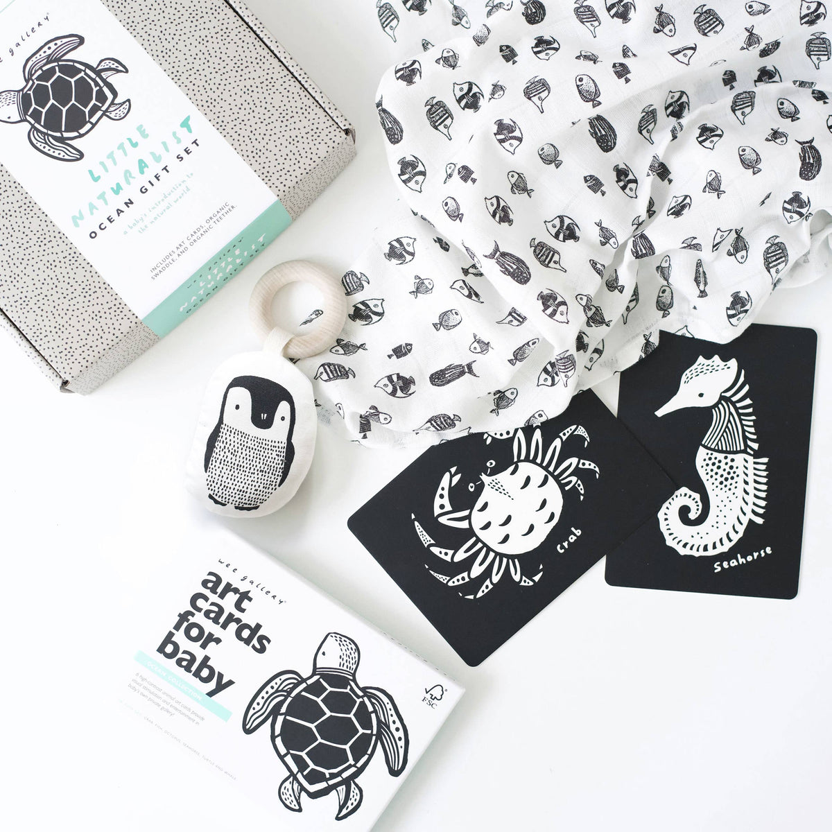 Little Naturalist Gift Set - Ocean