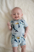 Jonah Shortie Zippy