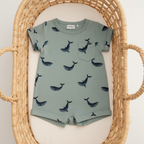Whale Romper in Moses Basket
